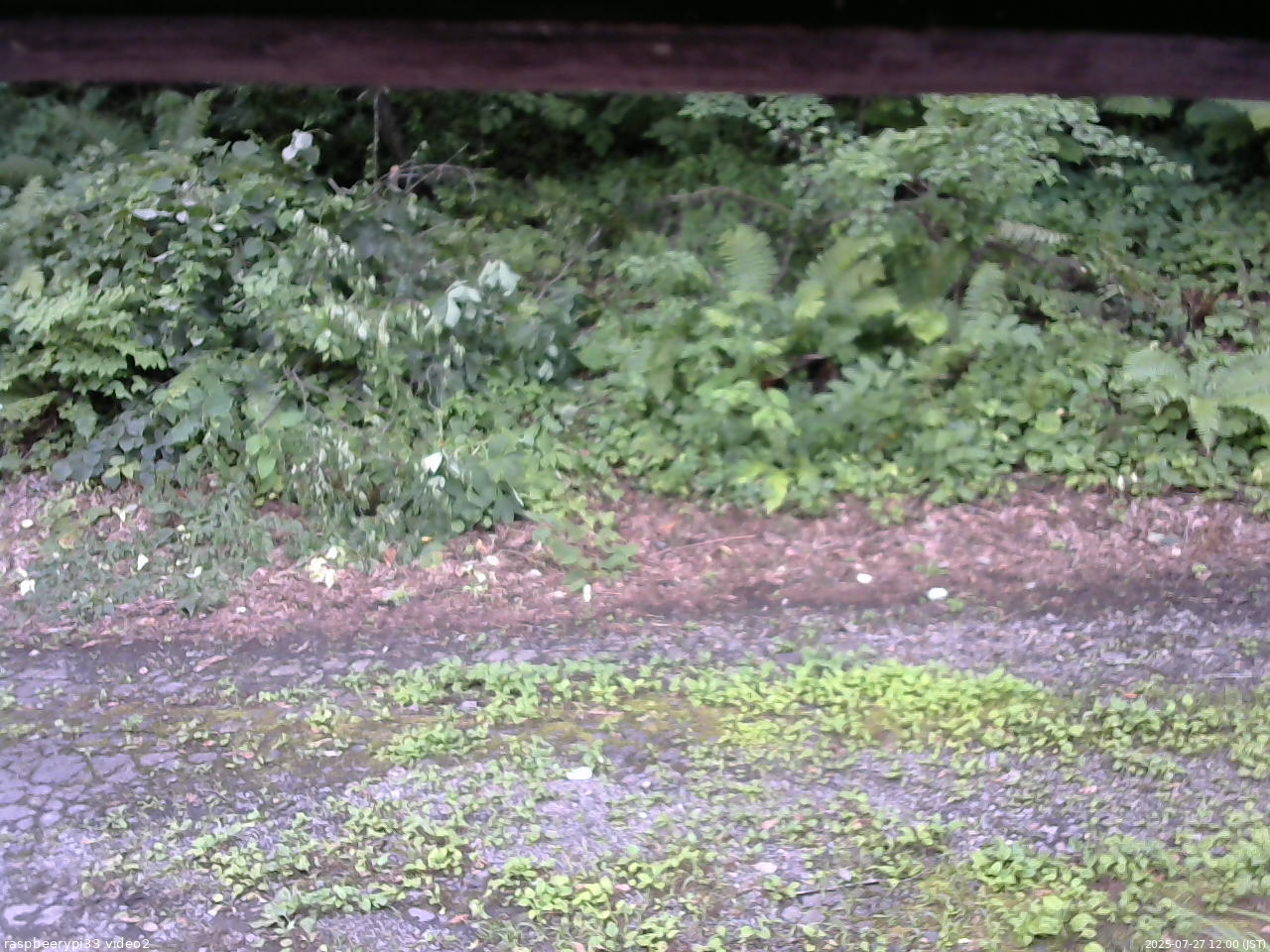 長野県菅平高原 ゆたか山荘 南側 2025/07/27 12:00