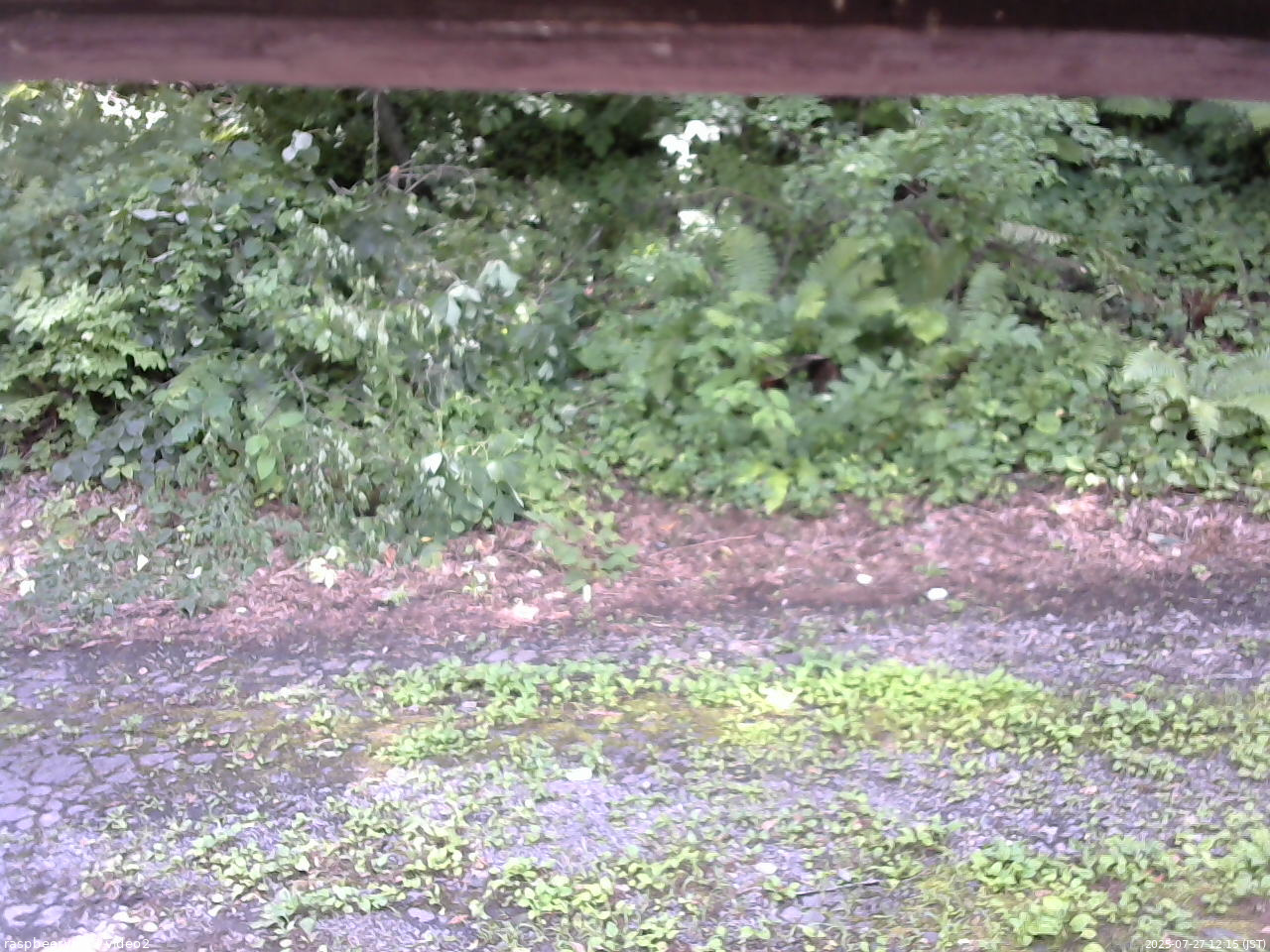 長野県菅平高原 ゆたか山荘 南側 2025/07/27 12:15