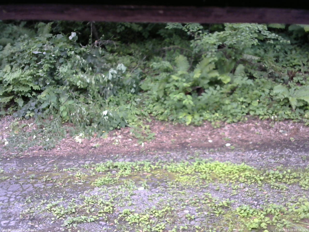 長野県菅平高原 ゆたか山荘 南側 2025/07/27 13:15