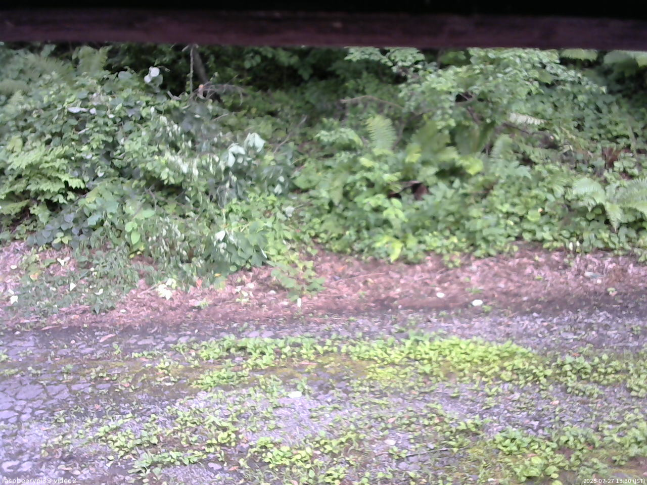 長野県菅平高原 ゆたか山荘 南側 2025/07/27 13:30