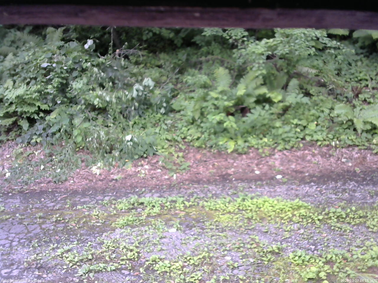 長野県菅平高原 ゆたか山荘 南側 2025/07/27 14:15