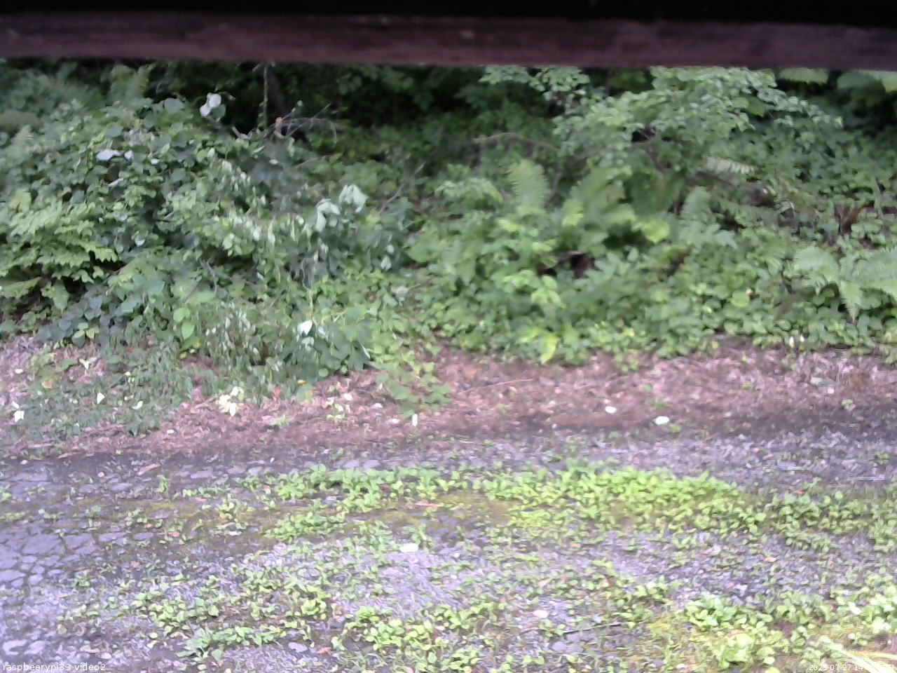 長野県菅平高原 ゆたか山荘 南側 2025/07/27 14:45