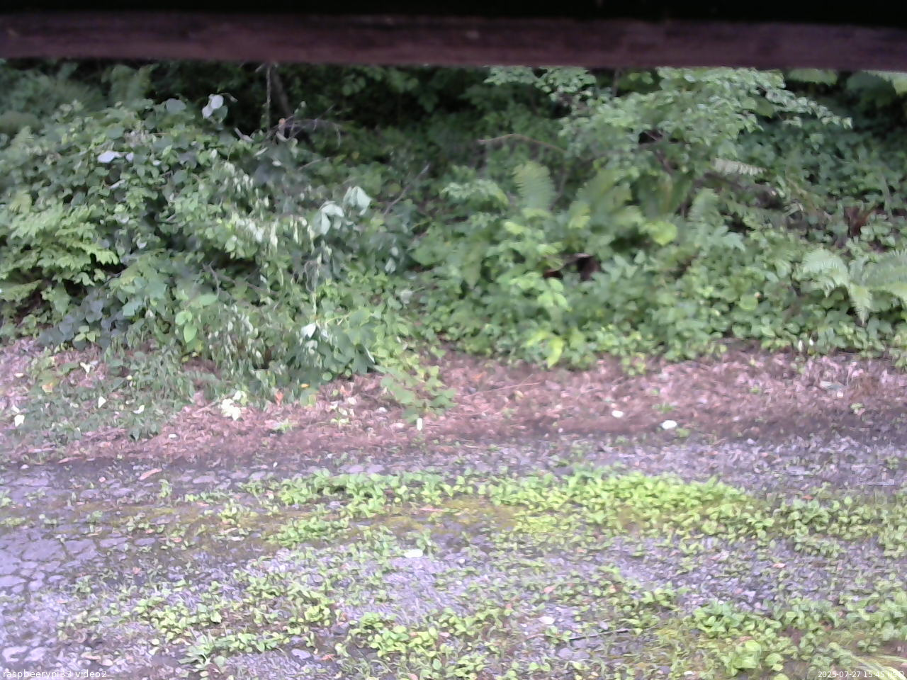 長野県菅平高原 ゆたか山荘 南側 2025/07/27 15:45