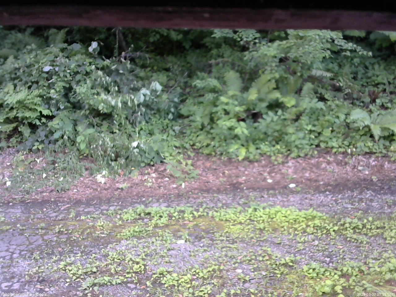 長野県菅平高原 ゆたか山荘 南側 2025/07/27 17:15