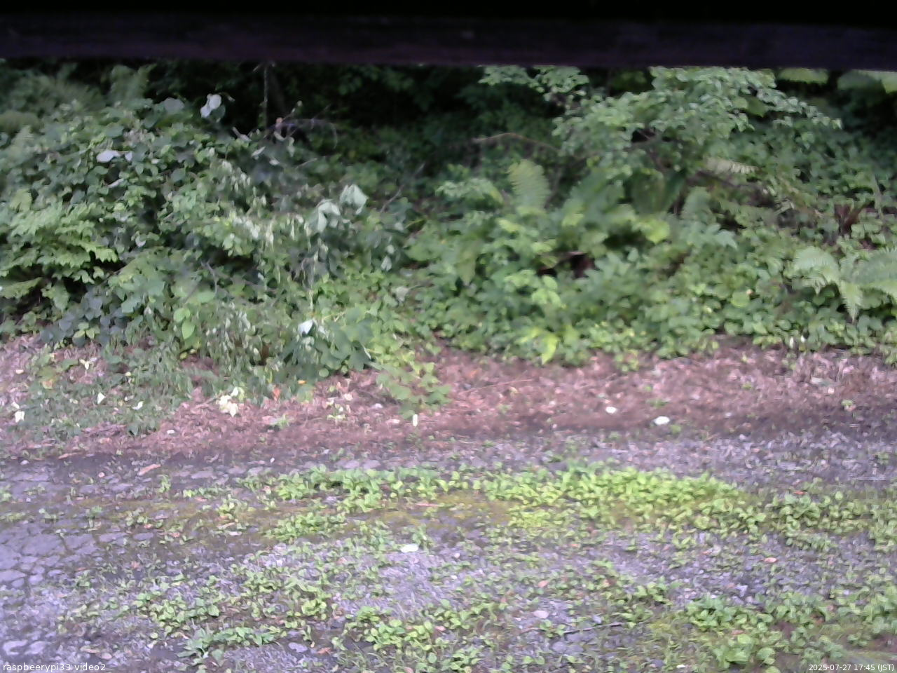 長野県菅平高原 ゆたか山荘 南側 2025/07/27 17:45