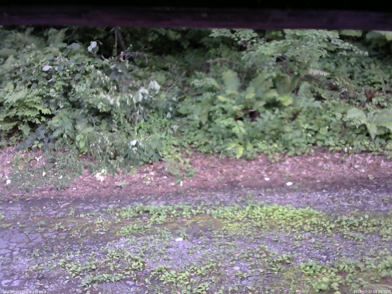 長野県菅平高原 ゆたか山荘 南側 2025/07/27 18:00