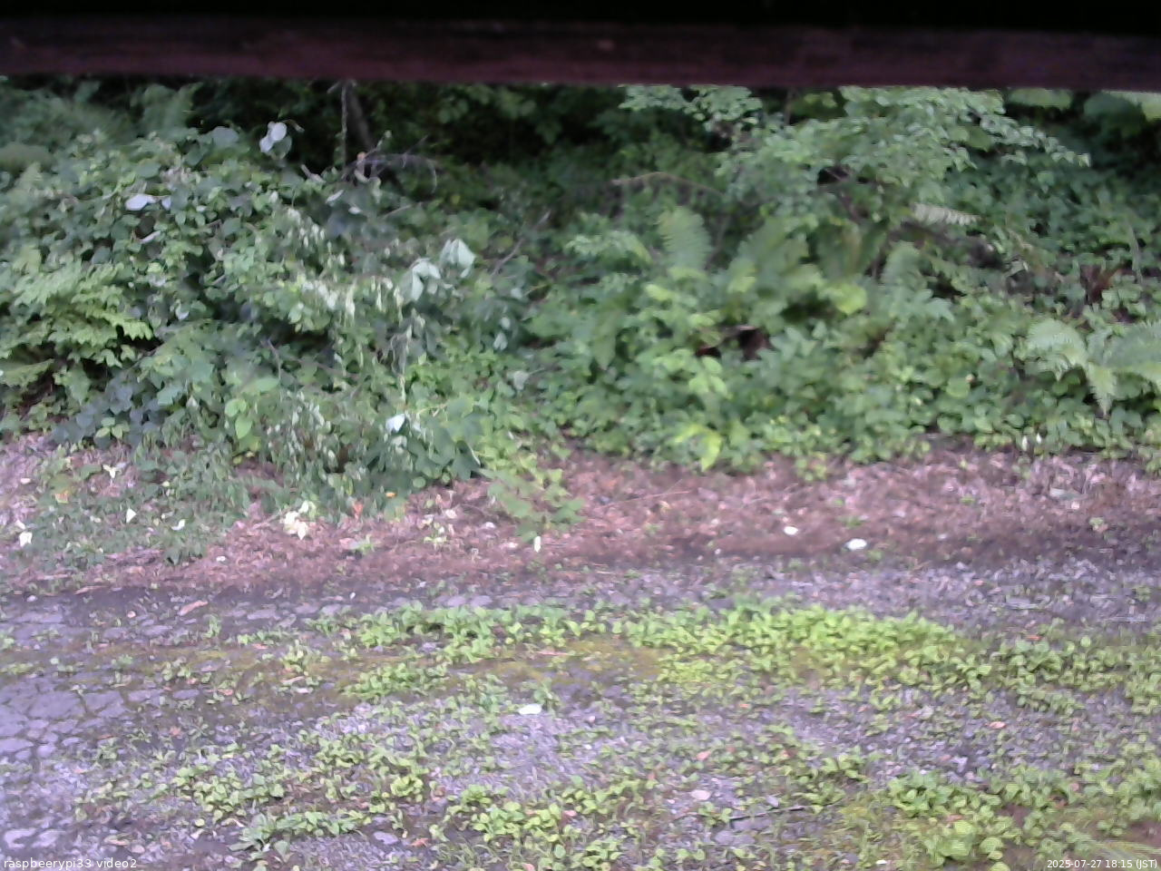 長野県菅平高原 ゆたか山荘 南側 2025/07/27 18:15