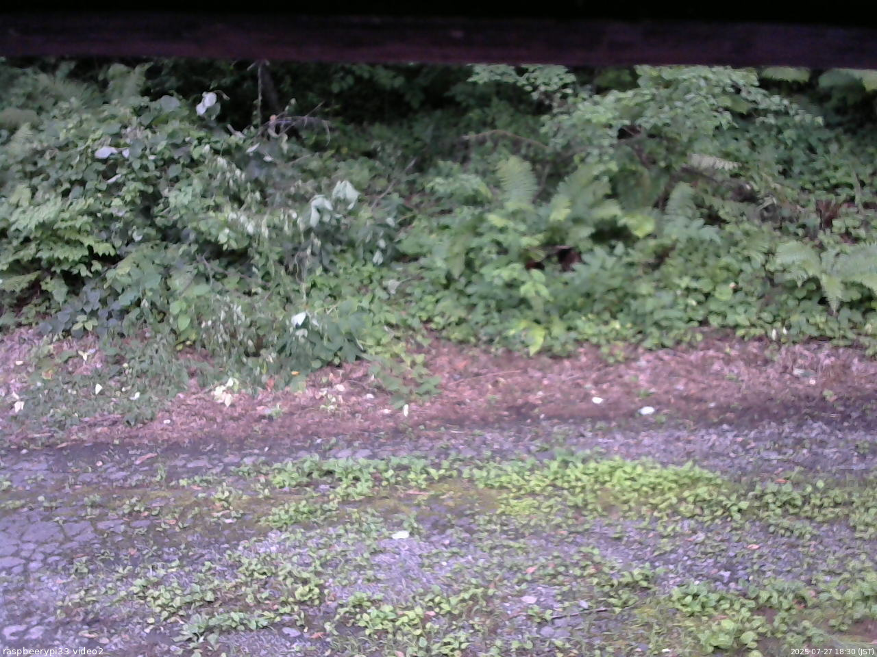 長野県菅平高原 ゆたか山荘 南側 2025/07/27 18:30