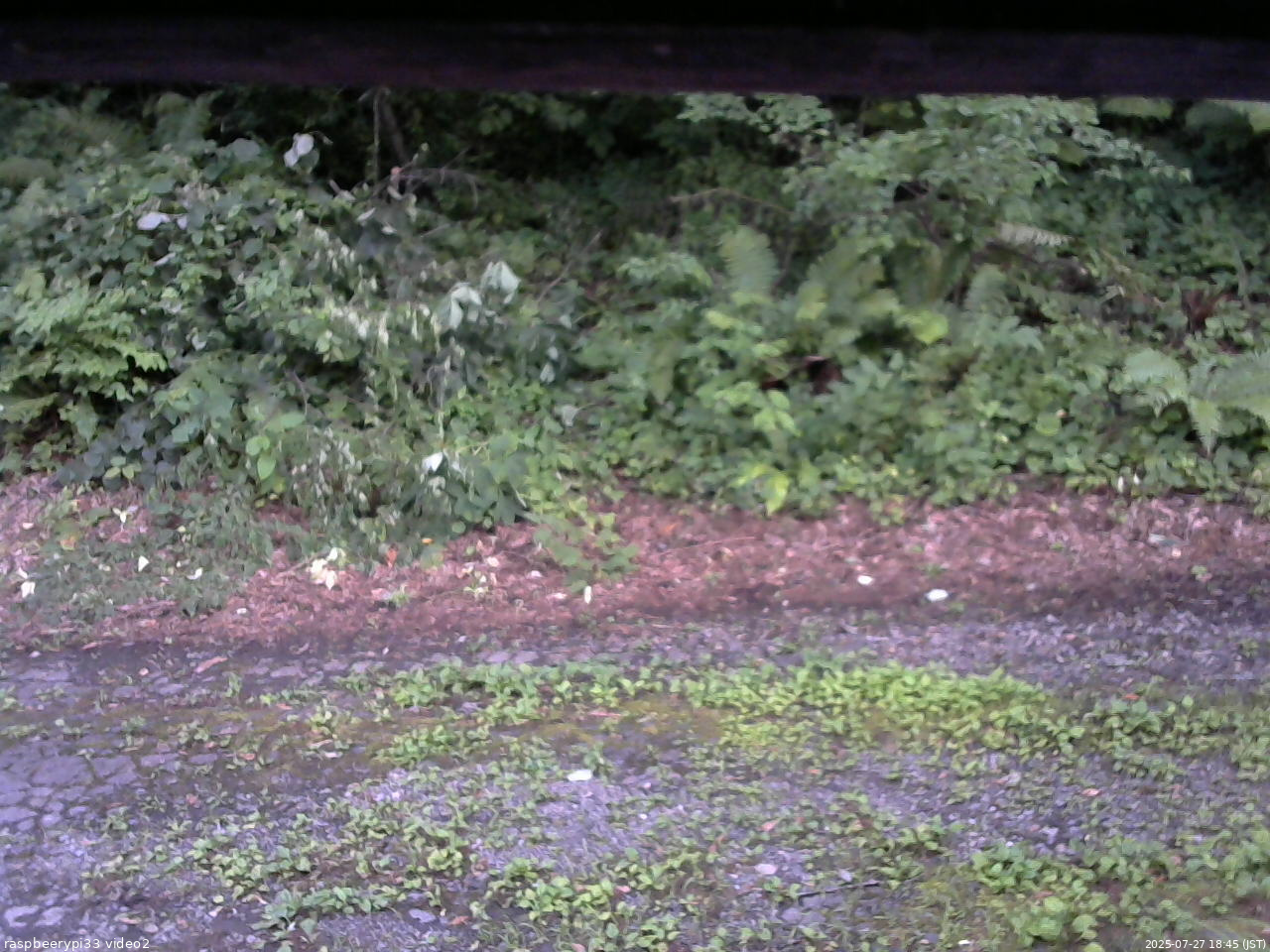 長野県菅平高原 ゆたか山荘 南側 2025/07/27 18:45
