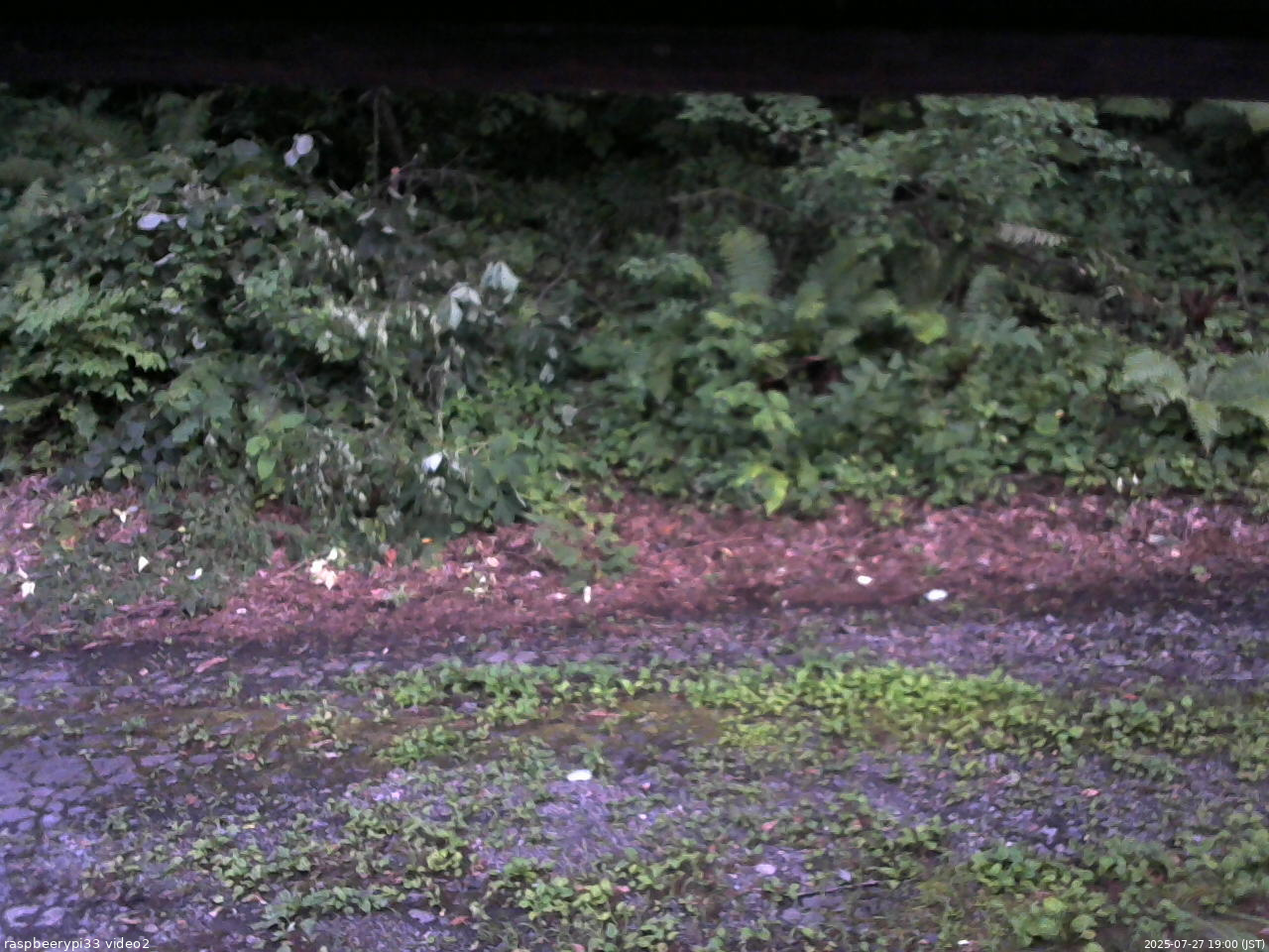 長野県菅平高原 ゆたか山荘 南側 2025/07/27 19:00