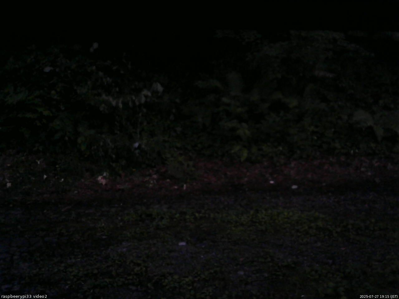 長野県菅平高原 ゆたか山荘 南側 2025/07/27 19:15