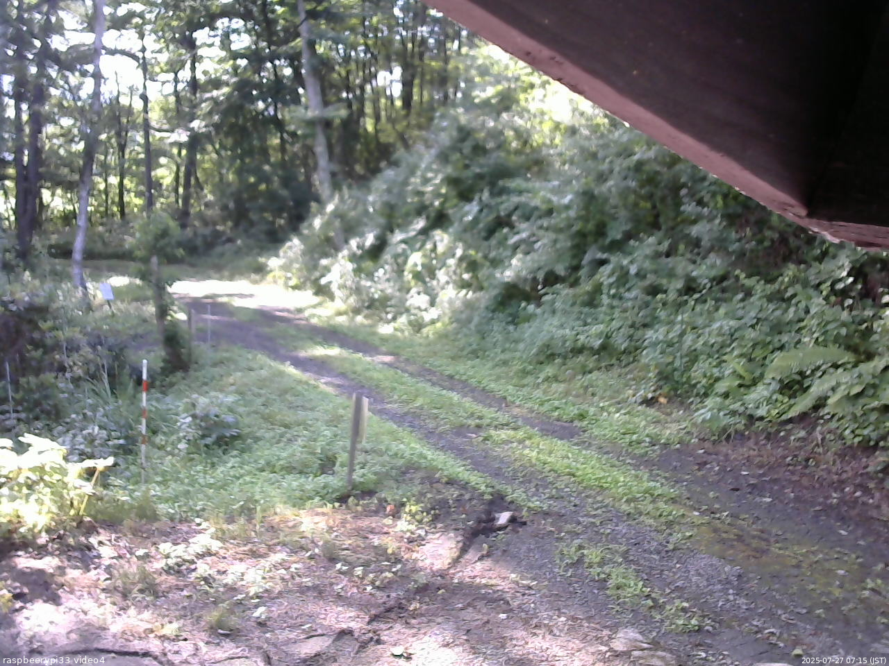 長野県菅平高原 ゆたか山荘 東側(坂下) 2025/07/27 07:15
