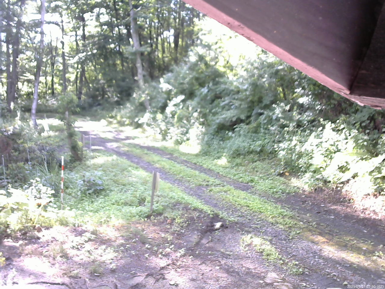 長野県菅平高原 ゆたか山荘 東側(坂下) 2025/07/27 07:30