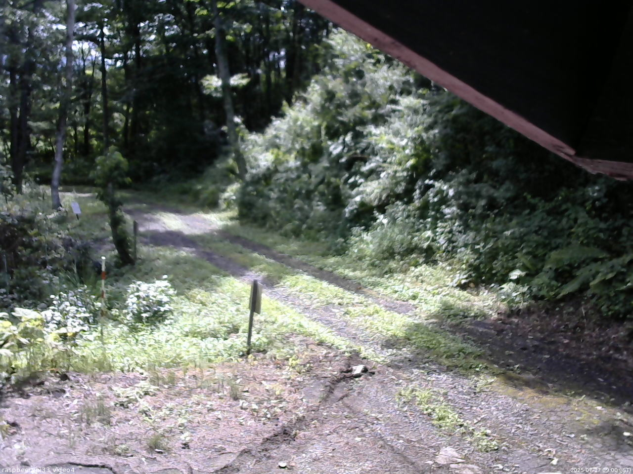 長野県菅平高原 ゆたか山荘 東側(坂下) 2025/07/27 09:00
