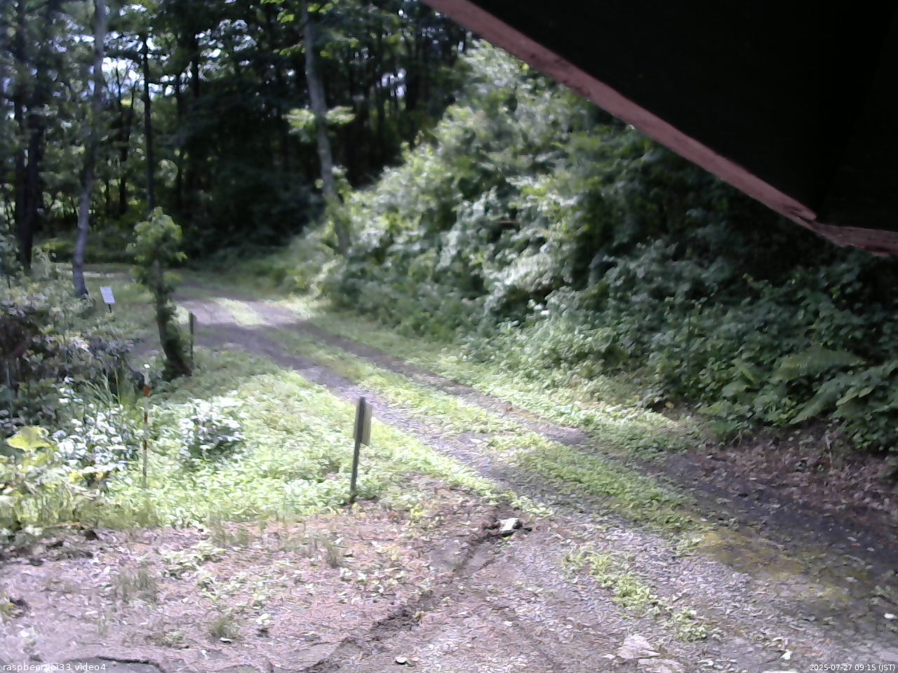 長野県菅平高原 ゆたか山荘 東側(坂下) 2025/07/27 09:15