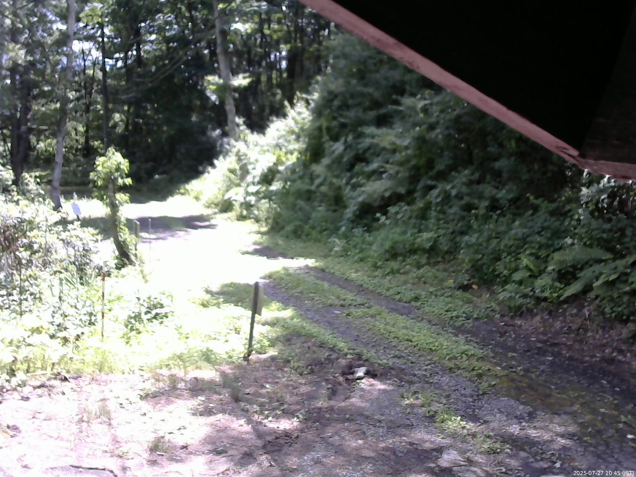長野県菅平高原 ゆたか山荘 東側(坂下) 2025/07/27 10:45