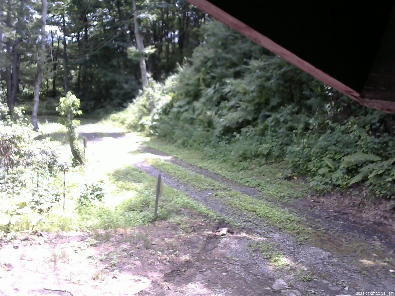 長野県菅平高原 ゆたか山荘 東側(坂下) 2025/07/27 11:15