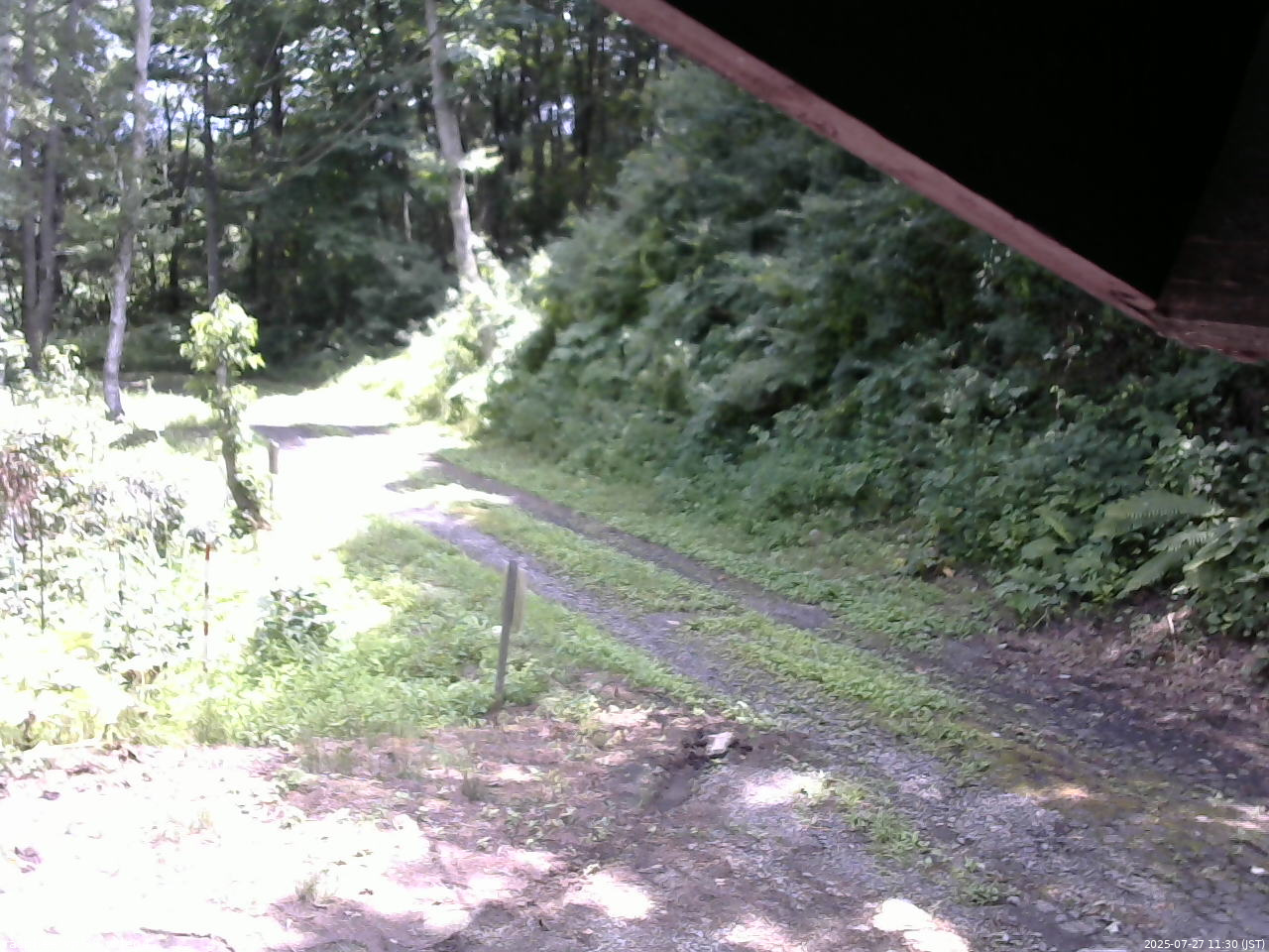 長野県菅平高原 ゆたか山荘 東側(坂下) 2025/07/27 11:30