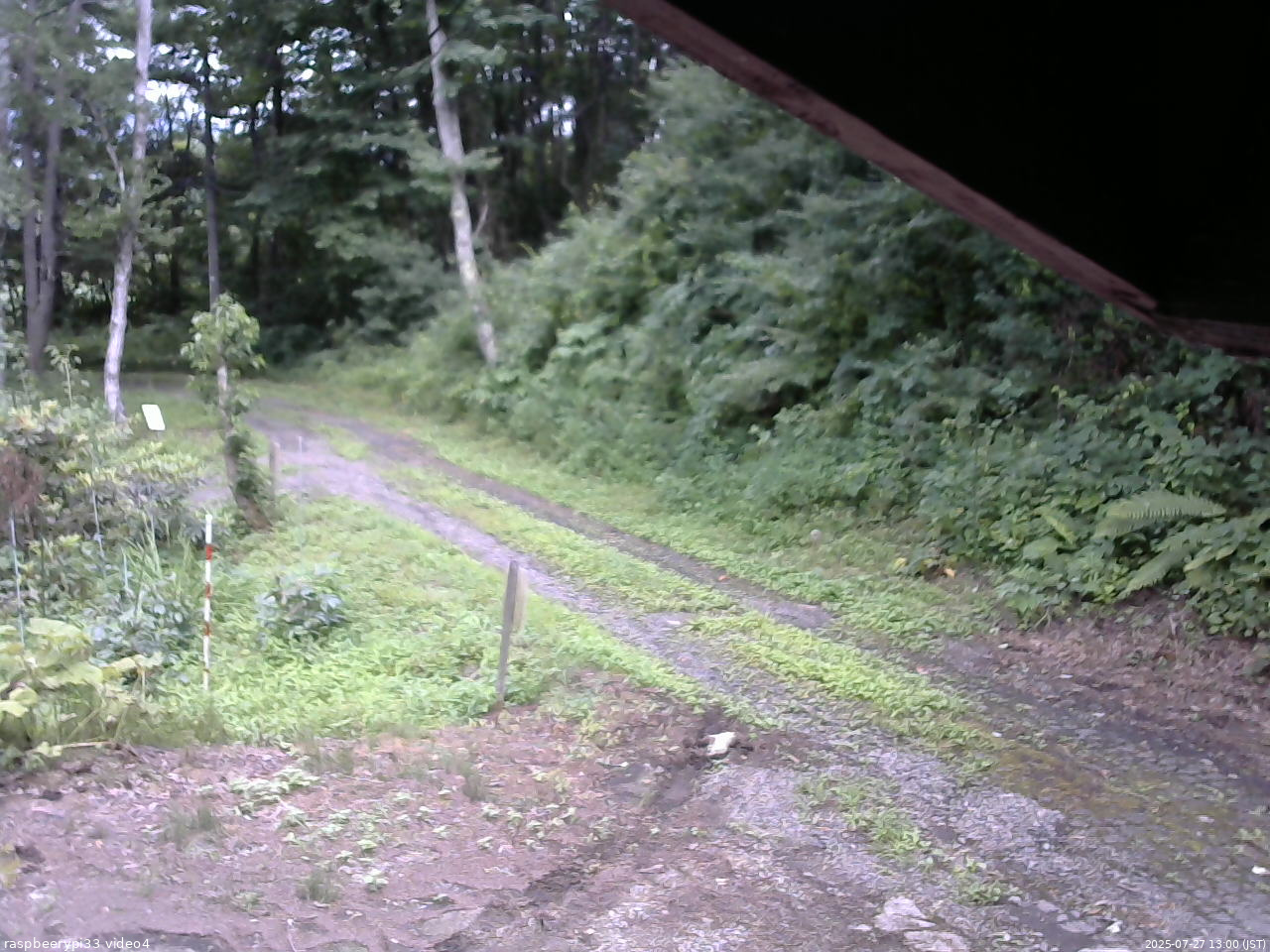 長野県菅平高原 ゆたか山荘 東側(坂下) 2025/07/27 13:00