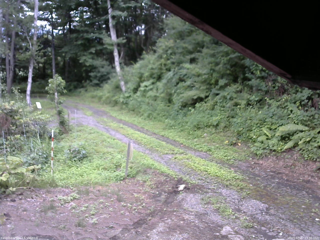 長野県菅平高原 ゆたか山荘 東側(坂下) 2025/07/27 13:30