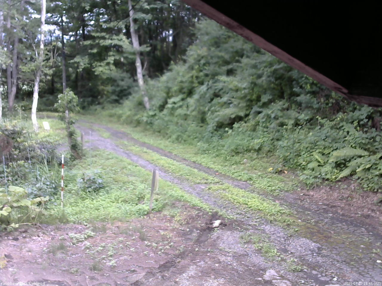長野県菅平高原 ゆたか山荘 東側(坂下) 2025/07/27 14:45