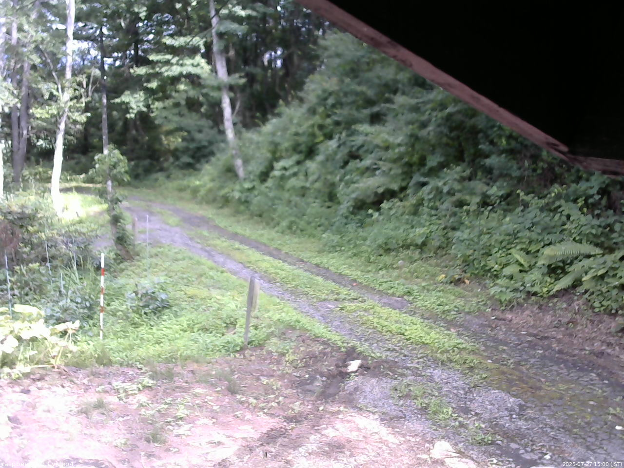 長野県菅平高原 ゆたか山荘 東側(坂下) 2025/07/27 15:00