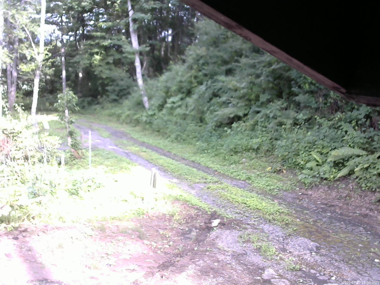 長野県菅平高原 ゆたか山荘 東側(坂下) 2025/07/27 16:00