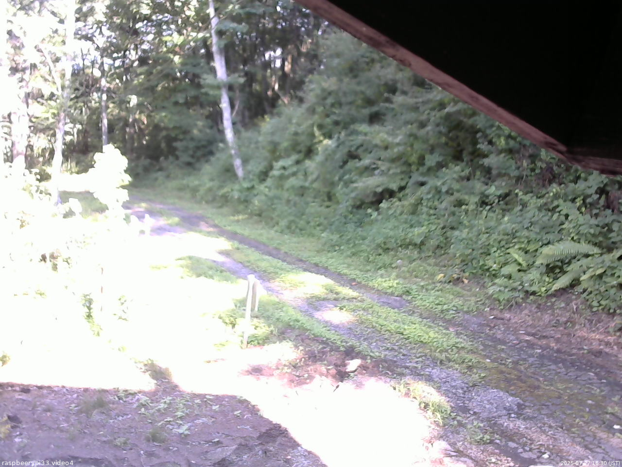 長野県菅平高原 ゆたか山荘 東側(坂下) 2025/07/27 16:30