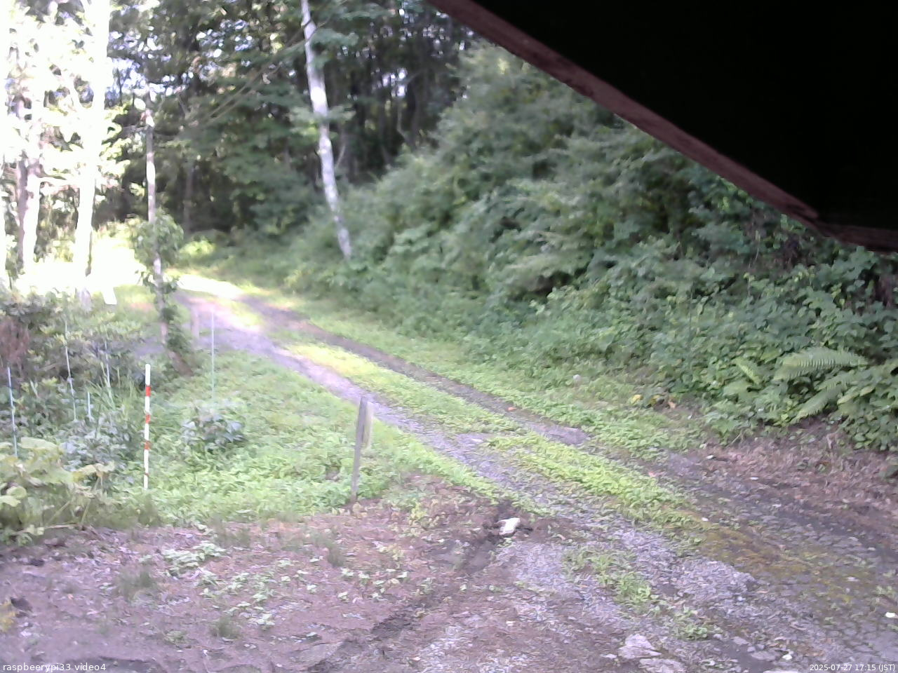 長野県菅平高原 ゆたか山荘 東側(坂下) 2025/07/27 17:15