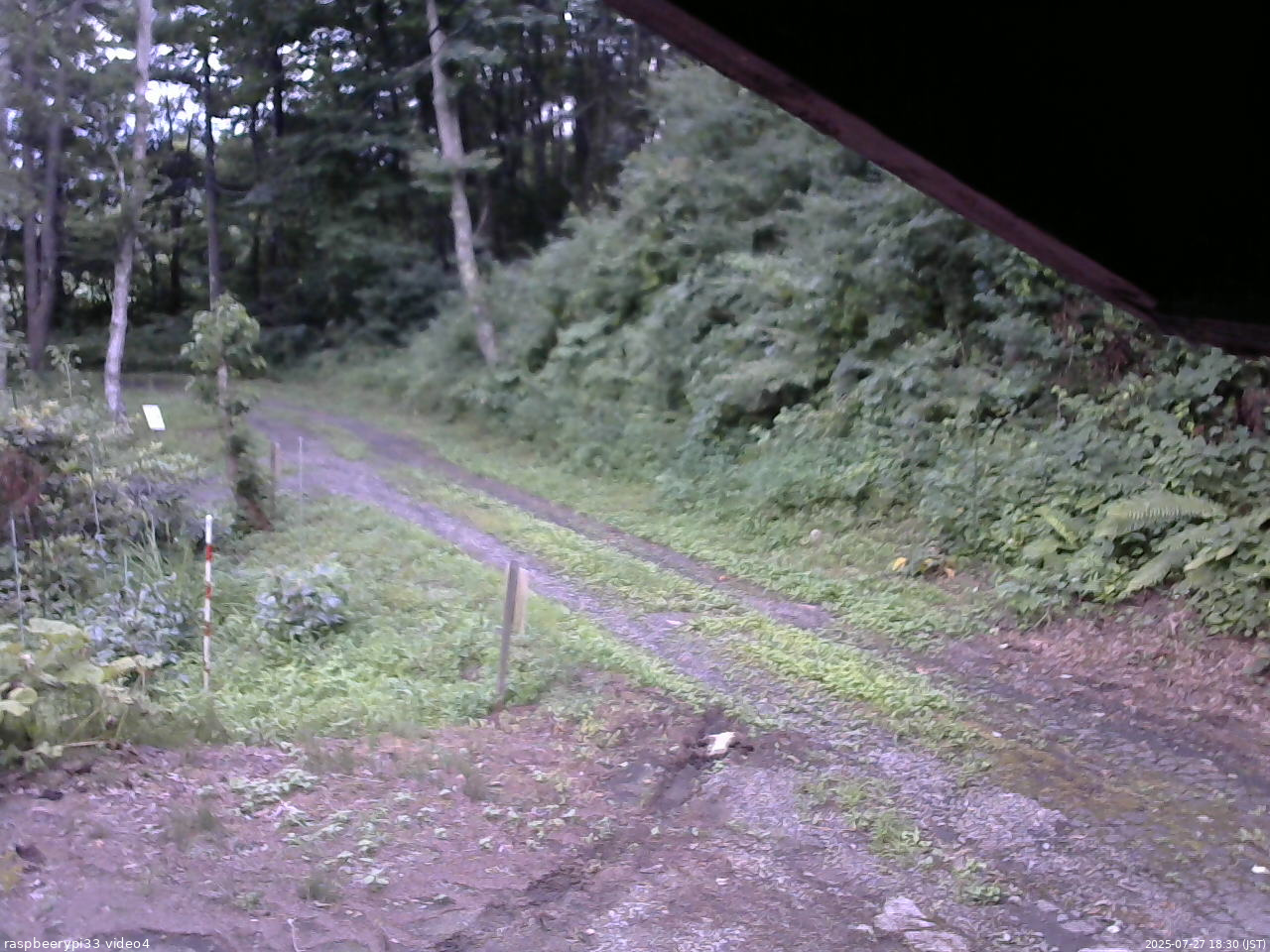 長野県菅平高原 ゆたか山荘 東側(坂下) 2025/07/27 18:30