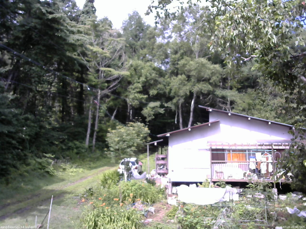長野県菅平高原 ゆたか山荘 西側(坂上) 2025/07/27 09:00