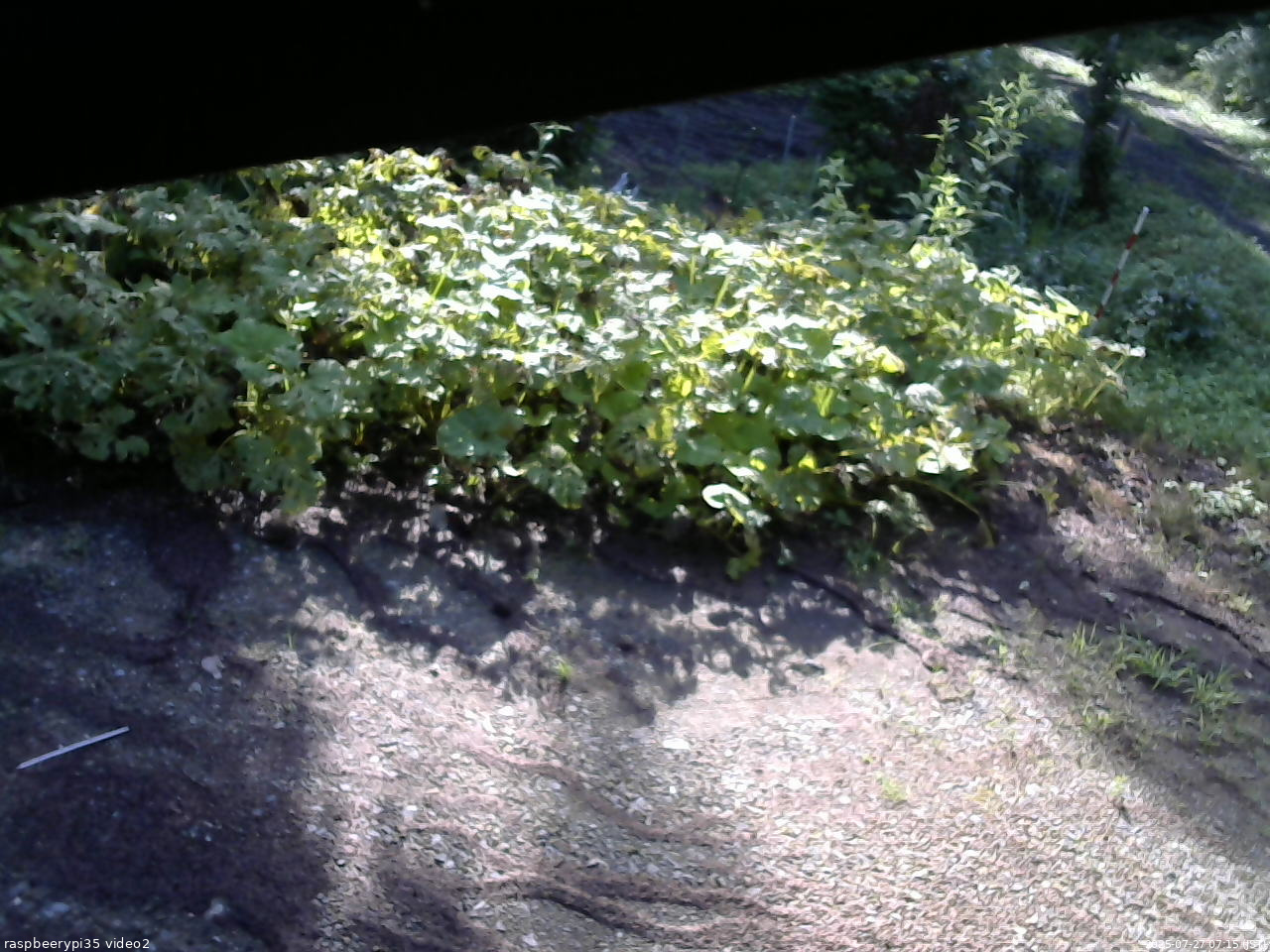 長野県菅平高原 ゆたか山荘 駐車場 2025/07/27 07:15