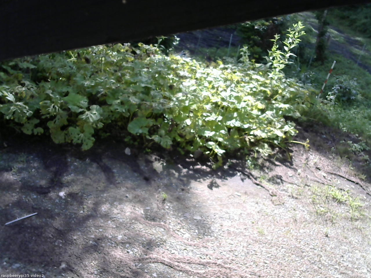 長野県菅平高原 ゆたか山荘 駐車場 2025/07/27 08:00