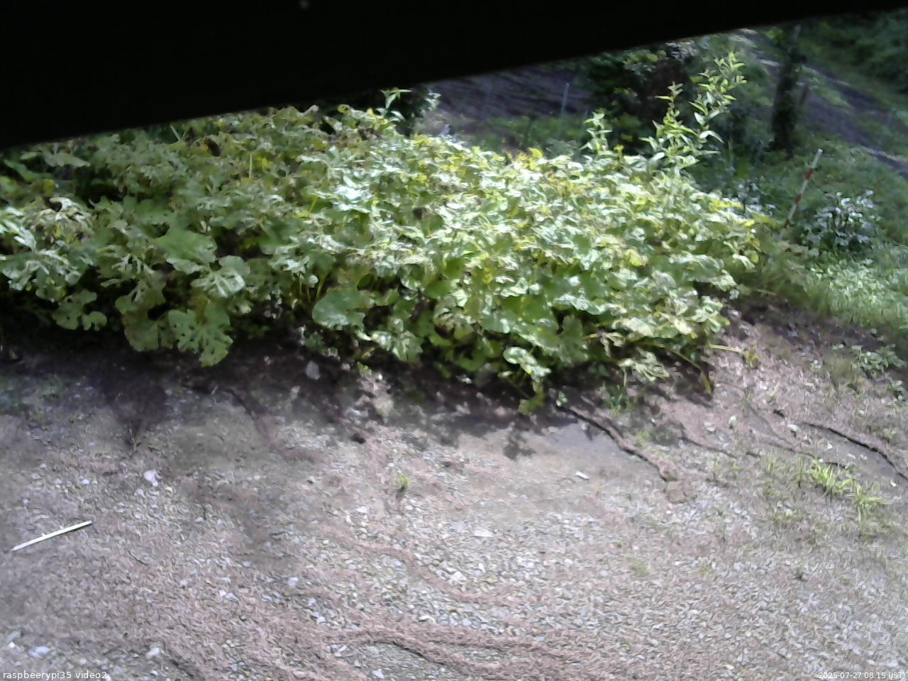 長野県菅平高原 ゆたか山荘 駐車場 2025/07/27 08:15