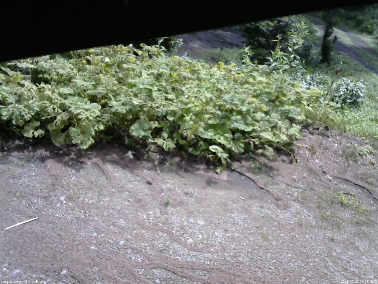 長野県菅平高原 ゆたか山荘 駐車場 2025/07/27 09:15