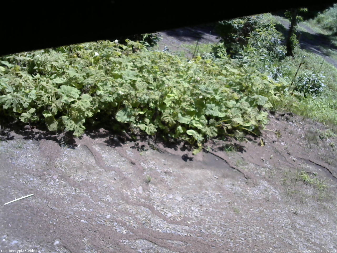 長野県菅平高原 ゆたか山荘 駐車場 2025/07/27 10:15