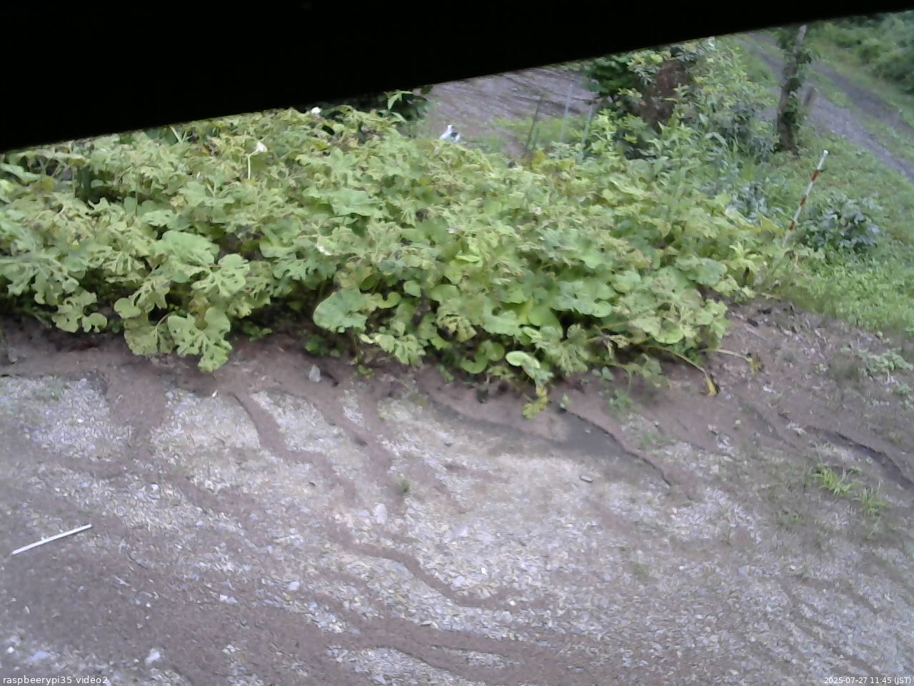 長野県菅平高原 ゆたか山荘 駐車場 2025/07/27 11:45