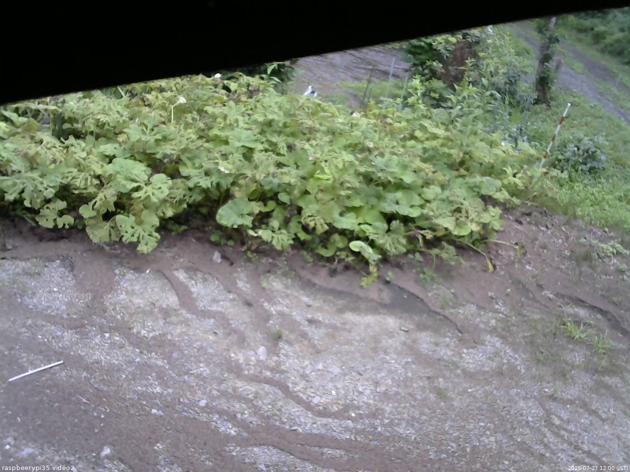 長野県菅平高原 ゆたか山荘 駐車場 2025/07/27 12:00