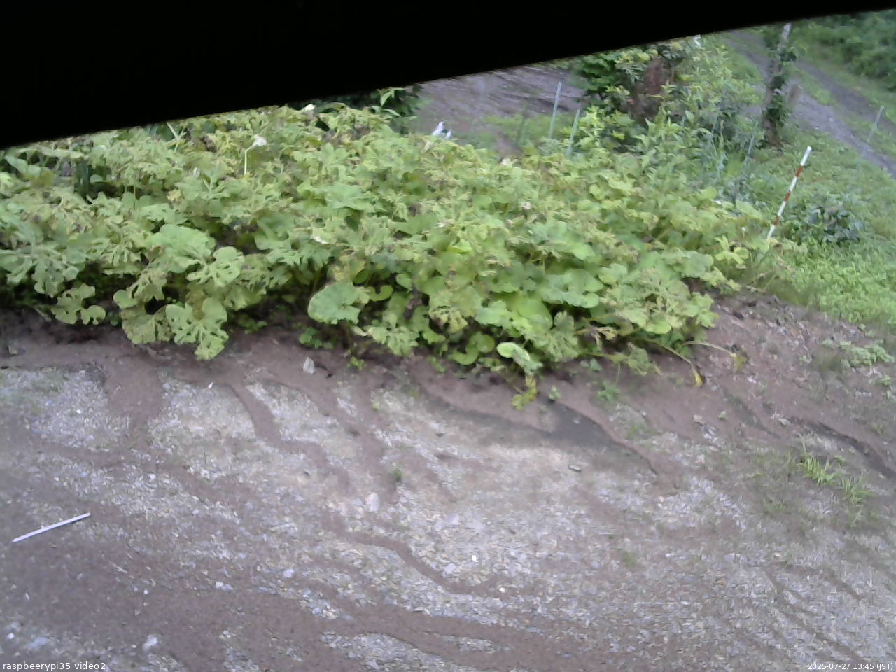 長野県菅平高原 ゆたか山荘 駐車場 2025/07/27 13:45