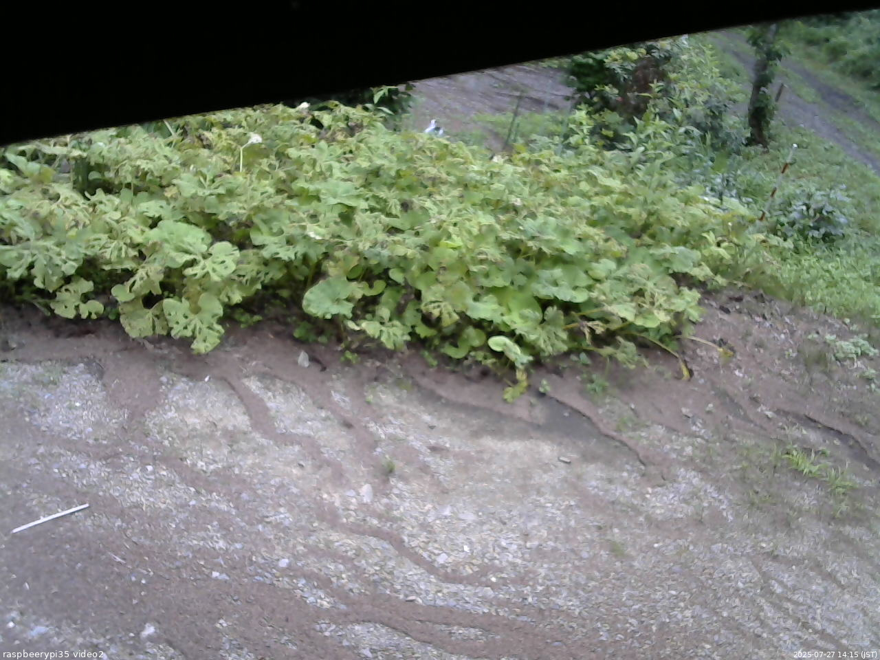 長野県菅平高原 ゆたか山荘 駐車場 2025/07/27 14:15