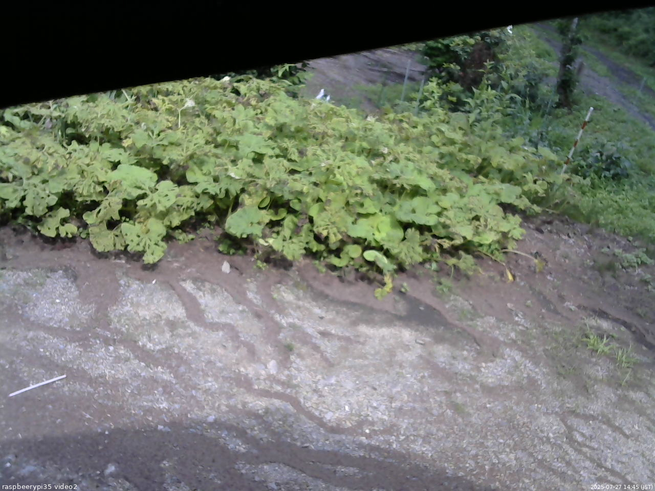長野県菅平高原 ゆたか山荘 駐車場 2025/07/27 14:45