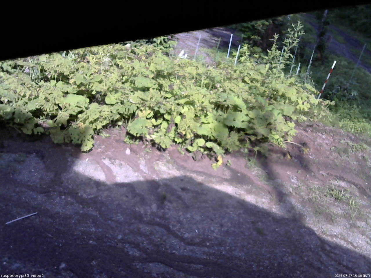 長野県菅平高原 ゆたか山荘 駐車場 2025/07/27 15:30