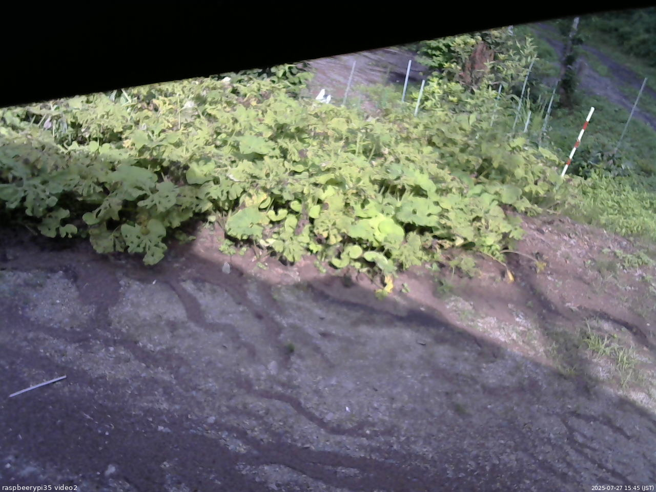 長野県菅平高原 ゆたか山荘 駐車場 2025/07/27 15:45