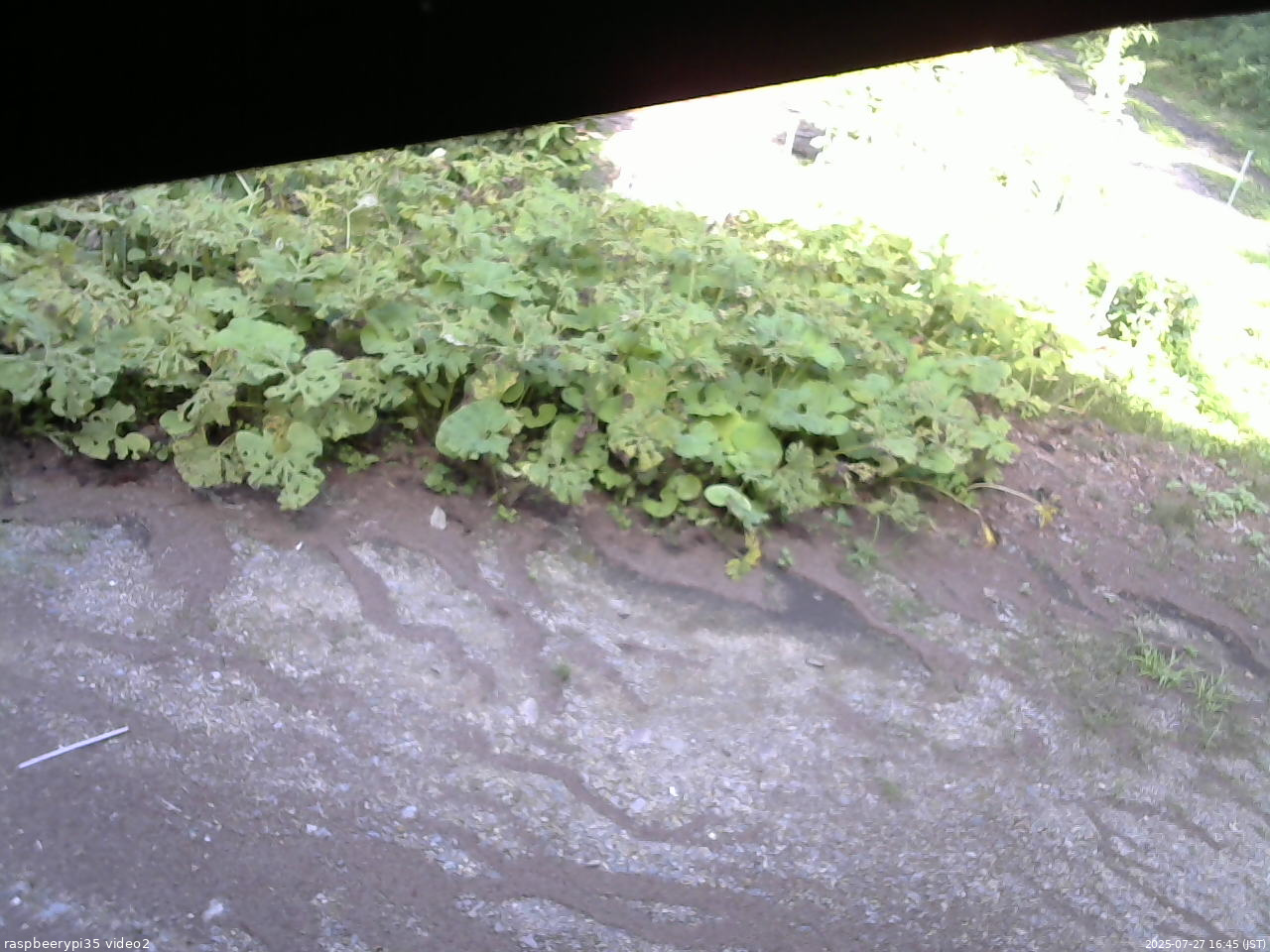 長野県菅平高原 ゆたか山荘 駐車場 2025/07/27 16:45