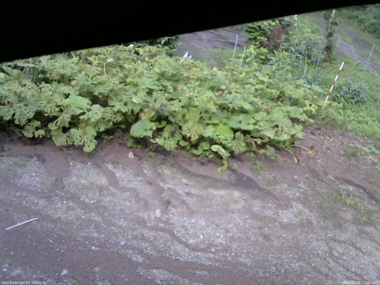 長野県菅平高原 ゆたか山荘 駐車場 2025/07/27 17:45