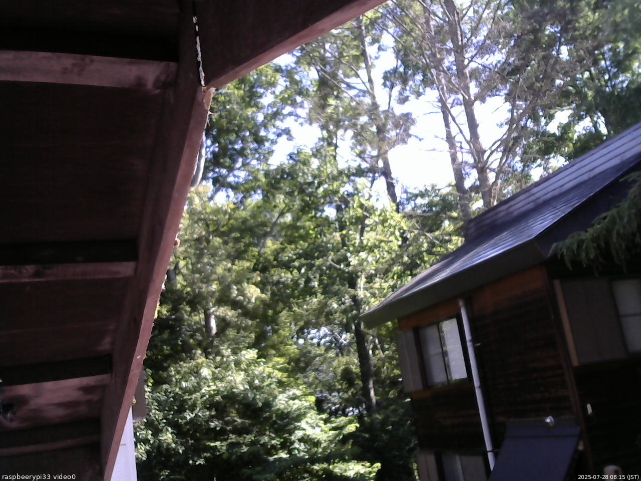 長野県菅平高原 ゆたか山荘 北側 2025/07/28 08:15