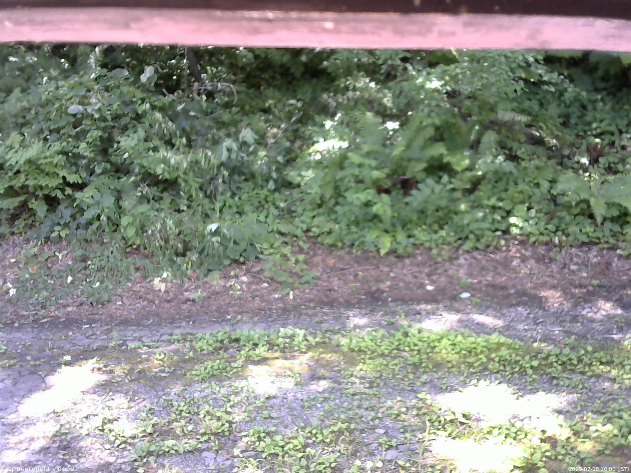 長野県菅平高原 ゆたか山荘 南側 2025/07/28 10:00