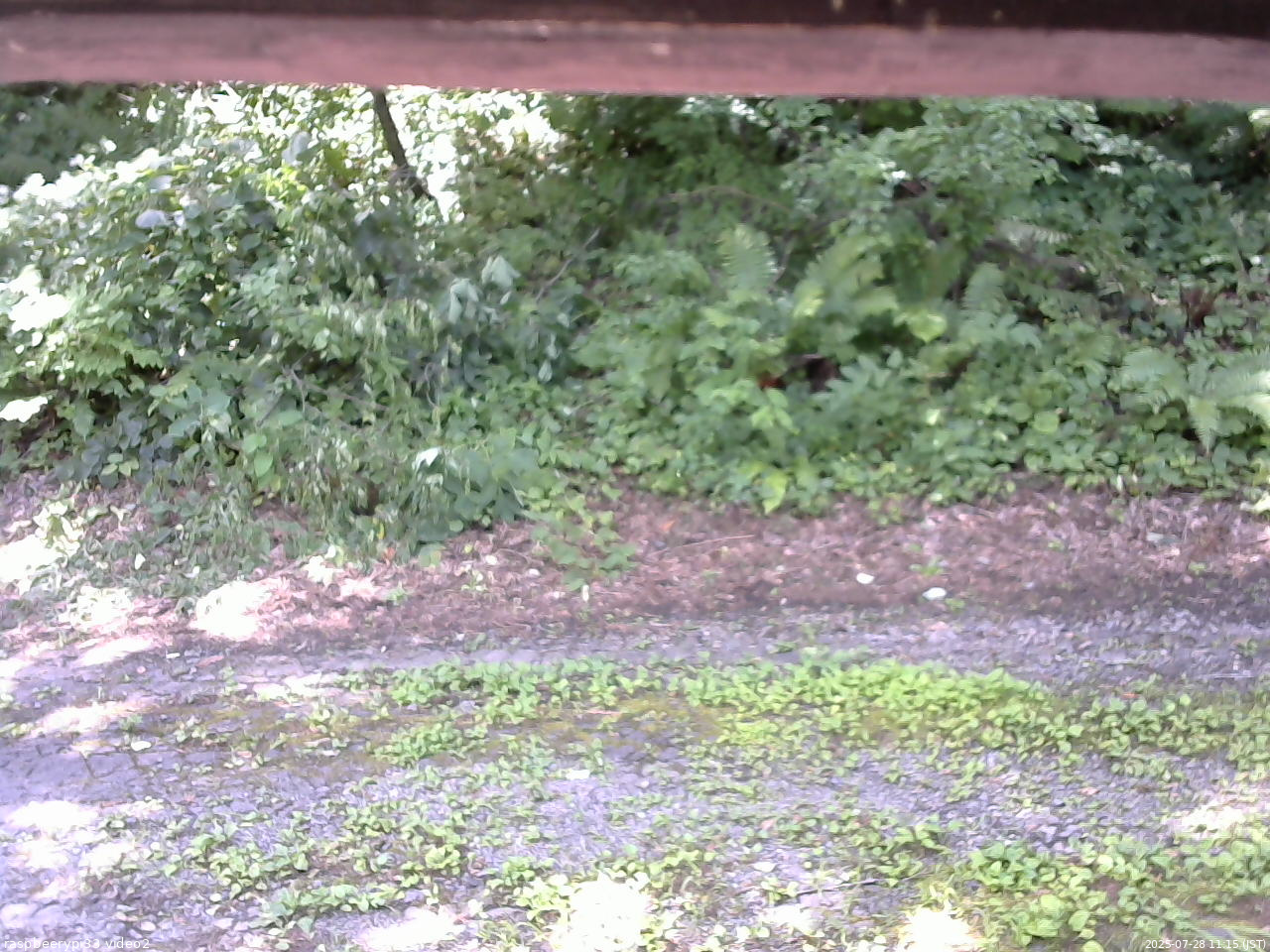 長野県菅平高原 ゆたか山荘 南側 2025/07/28 11:15