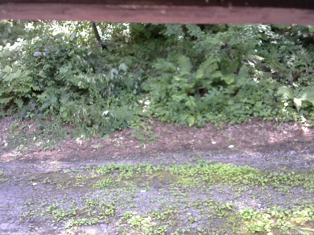 長野県菅平高原 ゆたか山荘 南側 2025/07/28 11:30