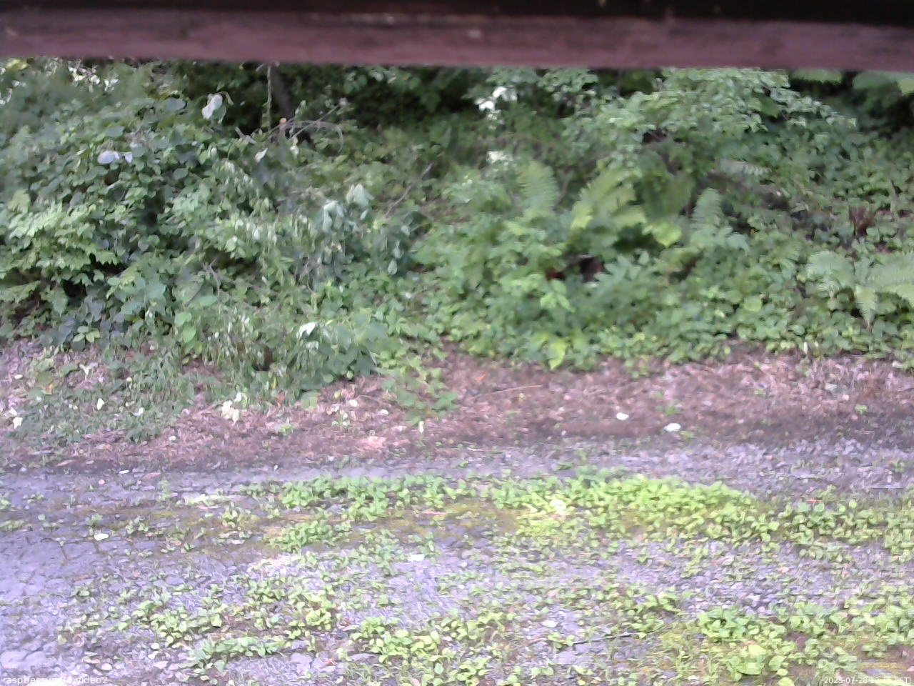 長野県菅平高原 ゆたか山荘 南側 2025/07/28 12:15